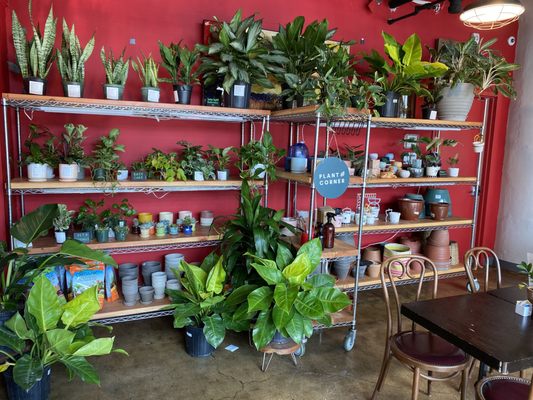 Mae Mae Café & Plant Shop by null
