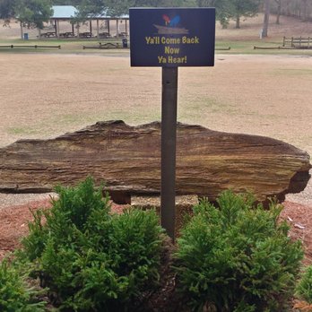 Mississippi Petrified Forest - Museums Near Me - Flora, Mississippi