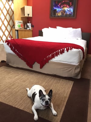 Cave B Estate Winery-Woodinville tasting room by null