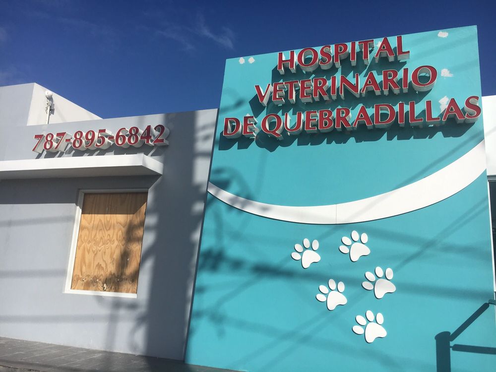 Hospital Veterinario de Quebradillas Image
