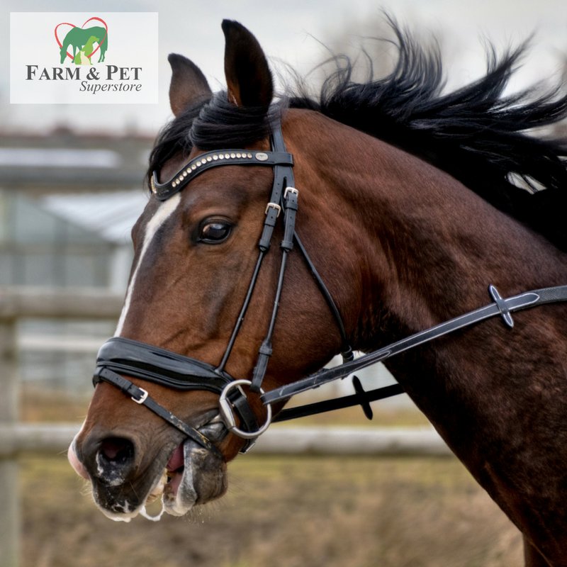 Farm and Pet Outlet Image