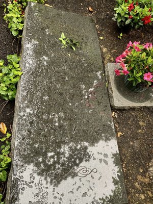 Grave of Colonel Harland Sanders by null