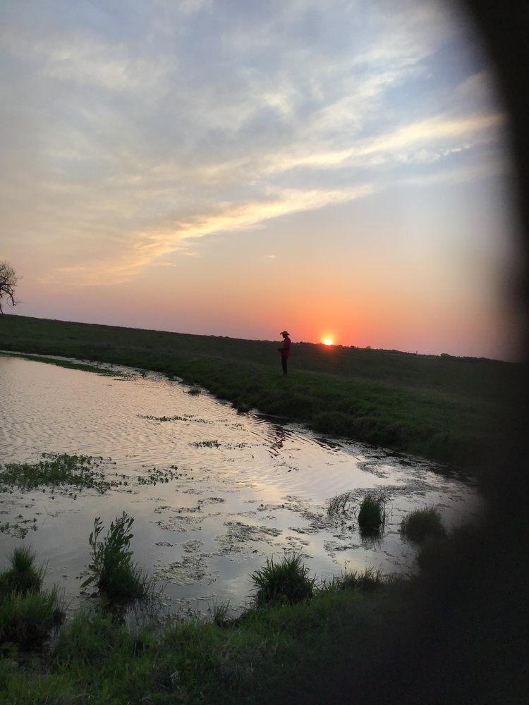 Morrison"s Farm and Stables - equestrian in Del Valle, TX