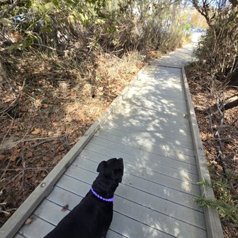 Malibu Lagoon State Beach - Path - Beaches Near Me - Malibu, California