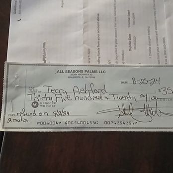 All Seasons Palms - Refund of 2 mule palms. Check bounced. No palms. - Landscaping Near Me - Prairieville, Louisiana All Seasons Palms - Refund of 2 mule palms. Check bounced. No palms. - Landscaping Near Me - Prairieville, Louisiana