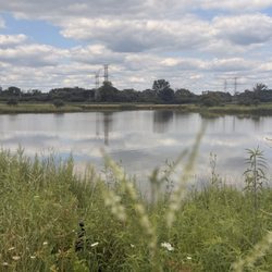 Large off leash park but no perimeter fence