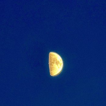 Bentwood Tavern - Moon - New American Near Me - New Buffalo, Michigan