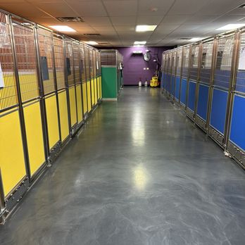Fetch N' Catch - Pet Sitting Near Me - Bowmansville, New York Fetch N' Catch - Pet Sitting Near Me - Bowmansville, New York