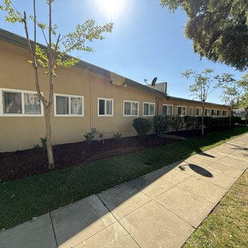 Elite Landscape Services - Landscaping Near Me