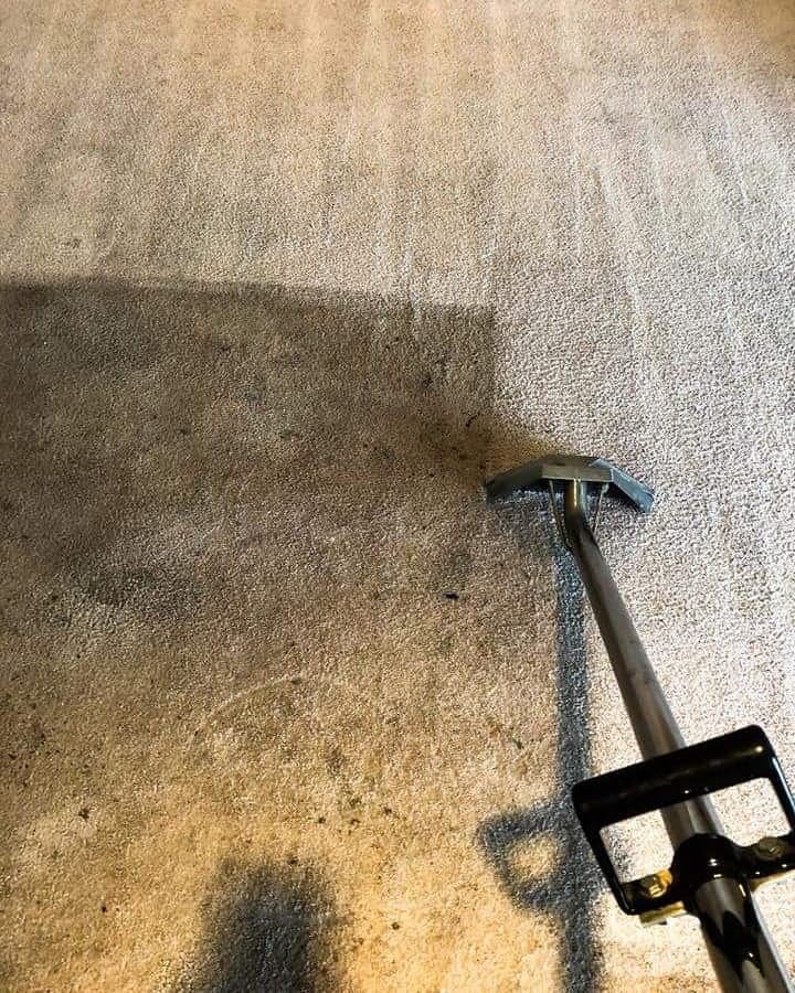 MR.STEEMERS 21 Photos Deltona, Florida Carpet Cleaning Phone