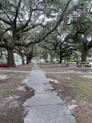 Daffin Park by null
