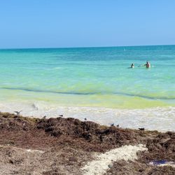 Sandspur Beach_Sanju-3