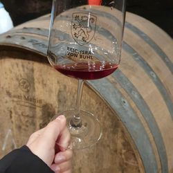 Weingut Reichsrat von Buhl - Kellerführung zum Weihnachtsmarkt! / winecellar Tour with tasting, big recommendation when visiting the christkindlemarket!