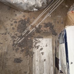 Magnolia's Home Maintenance and Repair