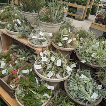 Green Acres Nursery & Supply - Nurseries & Gardening Near Me - Irving, Texas