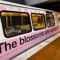 Franconia-Springfield Metro Station - Decorated for Spring