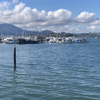 Fish - nearby views and fresh air - Seafood Near Me - Sausalito, California