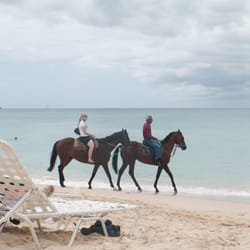 Cruise N Play Travel - Ride horses on the beach in Barbados