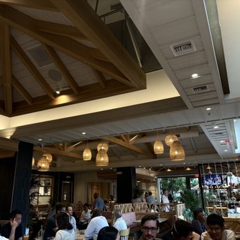 Pacific Catch - Main area - Sushi Bars Near Me - Santa Clara, California