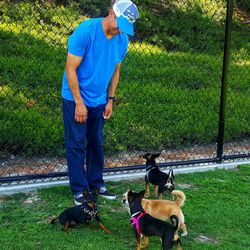 Aliso Viejo Community Association