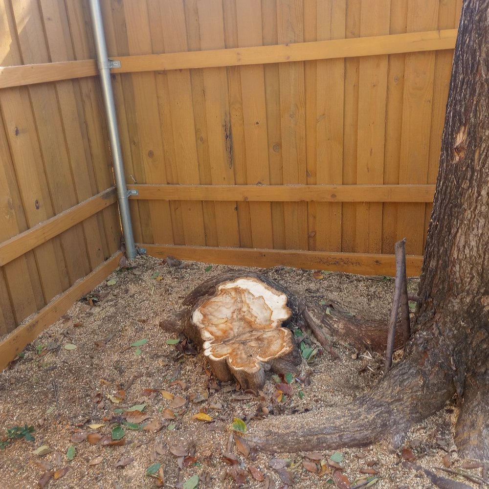 Supreme Tree Service - Tree Services Near Me Supreme Tree Service - Tree Services Near Me