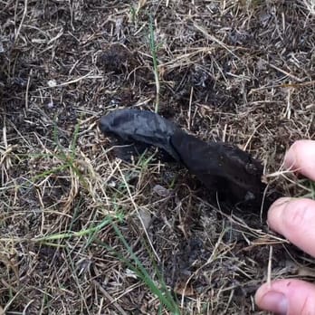 Palm City Sod - Palm City Sod doesn't use plastic... Lie here's proof - Nurseries & Gardening Near Me - Palm City, Florida Palm City Sod - Palm City Sod doesn't use plastic... Lie here's proof - Nurseries & Gardening Near Me - Palm City, Florida