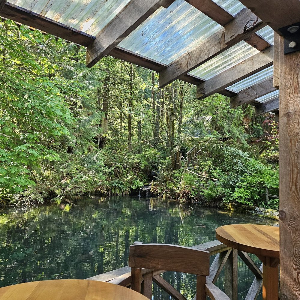 TreeHouse Point - Pond and water features near the wedding area - Bed & Breakfast Near Me - Issaquah, Washington TreeHouse Point - Pond and water features near the wedding area - Bed & Breakfast Near Me - Issaquah, Washington