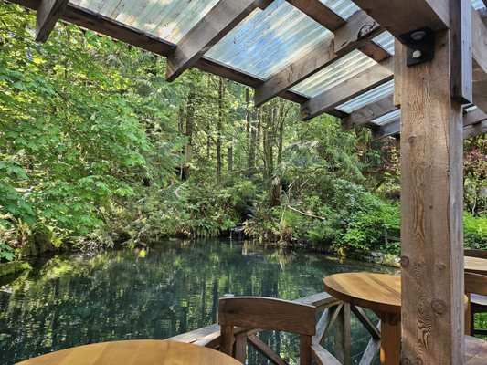 TreeHouse Point by null