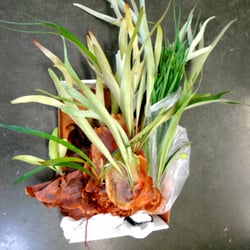 Manoa Orchid Show - Staghorn Ferns for sale...bought one at $8 and the second was marked down to $4...great deal for a giant staghorn!