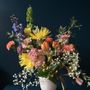 Photo of Portmanteau Flower
