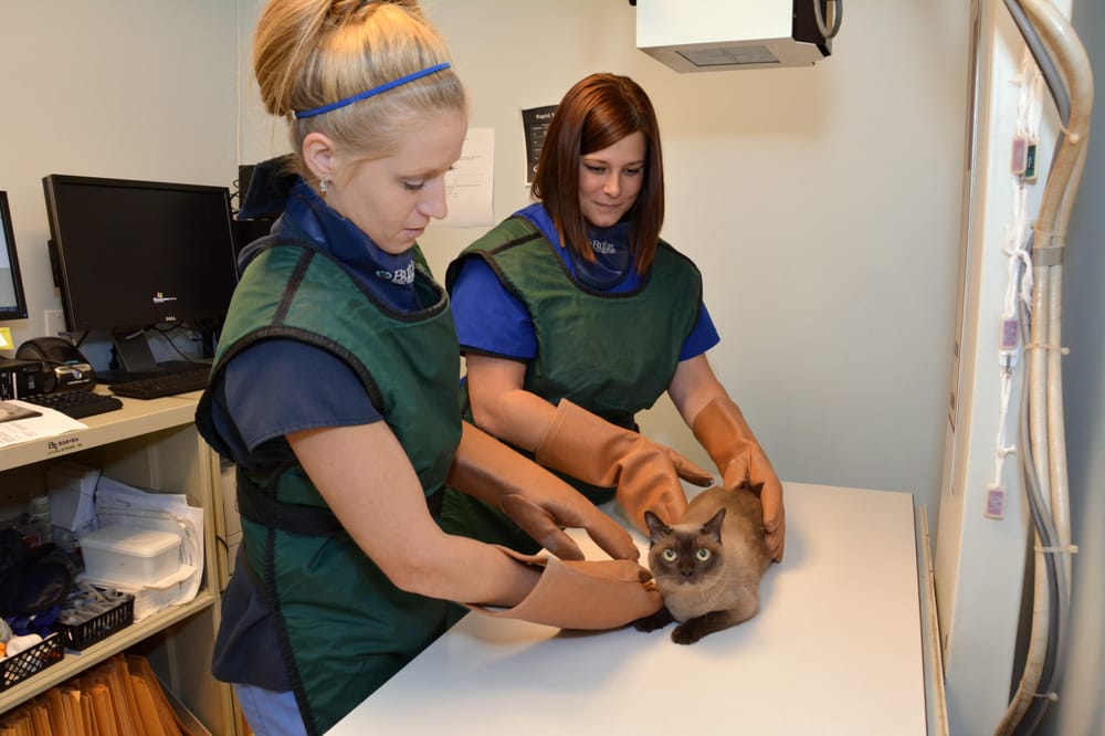 HARTS RUN VETERINARY HOSPITAL Updated September 2024 15 Reviews