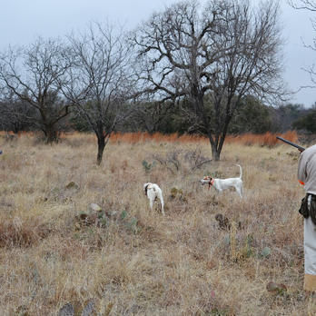 Schmidt Double T Ranches - Wildlife Hunting Ranges Near Me - Mason, Texas Schmidt Double T Ranches - Wildlife Hunting Ranges Near Me - Mason, Texas