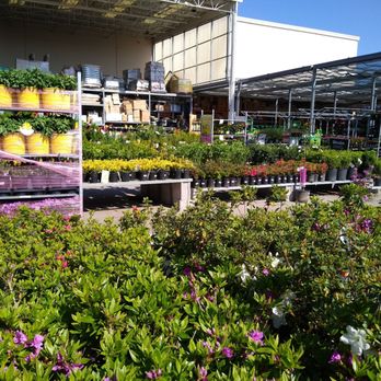 The Home Depot - Fully stocked plants, flowers, bushes and trees! I love this place! - Hardware Stores Near Me - Midwest City, Oklahoma The Home Depot - Fully stocked plants, flowers, bushes and trees! I love this place! - Hardware Stores Near Me - Midwest City, Oklahoma