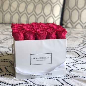 The Flower Luxe - Modeling my roses - Florists Near Me - Manassas, Virginia The Flower Luxe - Modeling my roses - Florists Near Me - Manassas, Virginia