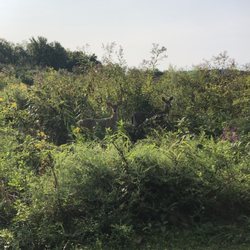 Harpeth River Greenway