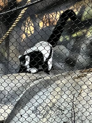 Staten Island Zoo by null