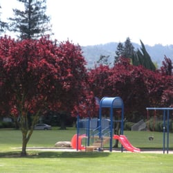Playground Equipment