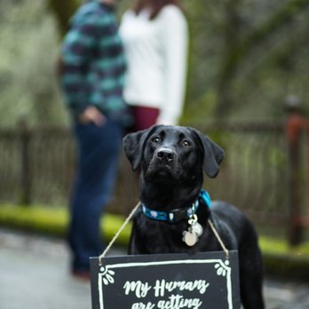 Koi Pond Photography - My Humans are getting engaged! - Event Photography Near Me Koi Pond Photography - My Humans are getting engaged! - Event Photography Near Me