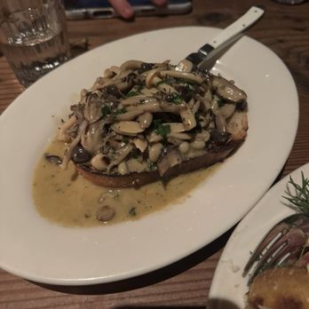 Gjelina - Mushroom Toast - White Wine, Creme Fraiche, Grilled Bread & ThymeMushroom - New American Near Me - Venice, California Gjelina - Mushroom Toast - White Wine, Creme Fraiche, Grilled Bread & ThymeMushroom - New American Near Me - Venice, California