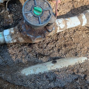 Shealys Landscaping & Irrigation Tech - Landscaping Near Me - loris, South Carolina