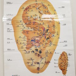 E&M Reflexology - Auricular therapy helps with Depression Anxiety pain control amd many other disorder and pain control. It also used to lose weight.