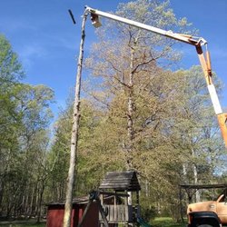 Valley Tree Service - untitled