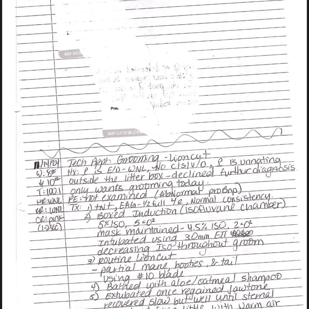 Here is a page of my Hartland "vet records." Please notice the white-out portion at the top. Real professional. Here is a page of my Hartland "vet records." Please notice the white-out portion at the top. Real professional.