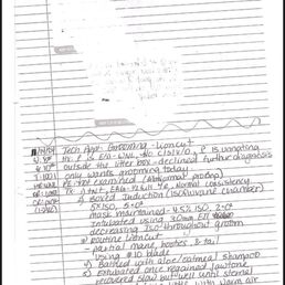 Here is a page of my Hartland "vet records." Please notice the white-out portion at the top. Real professional. Here is a page of my Hartland "vet records." Please notice the white-out portion at the top. Real professional.