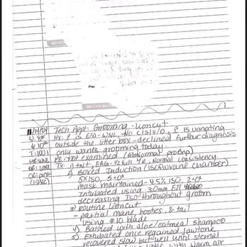 Hartland Cat Hospital - Here is a page of my Hartland "vet records." Please notice the white-out portion at the top. Real professional. - Veterinarians Near Me - Grapevine, Texas Hartland Cat Hospital - Here is a page of my Hartland "vet records." Please notice the white-out portion at the top. Real professional. - Veterinarians Near Me - Grapevine, Texas