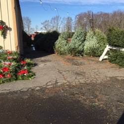 Farmer  Jacks Christmas Trees - Hundreds of pre cut trees to choose from