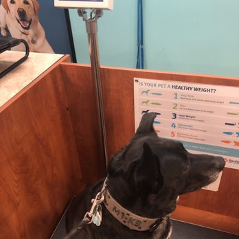 Banfield Pet Hospital - Veterinarians Near Me - Amherst, New York Banfield Pet Hospital - Veterinarians Near Me - Amherst, New York