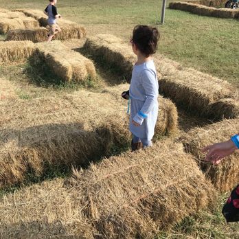 P-6 Farms - Kiddie maze! - Farmers Market Near Me - Montgomery, Texas P-6 Farms - Kiddie maze! - Farmers Market Near Me - Montgomery, Texas