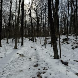 Leon Levy Preserve