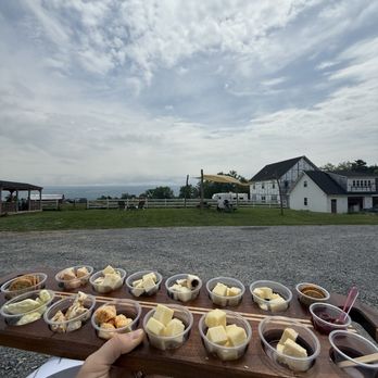 Shtayburne Farm - View and cheese - Farmers Market Near Me - Rock Stream, New York